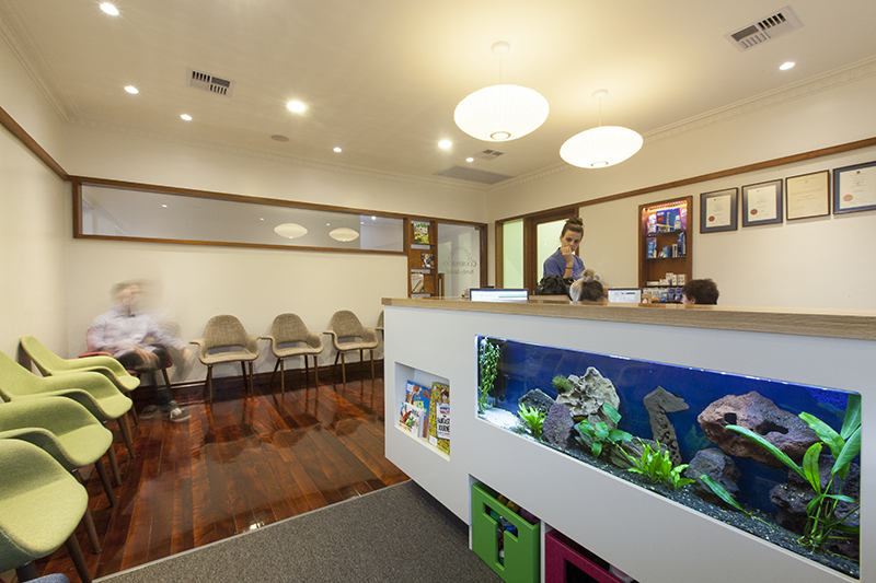 Dental-Fit-out